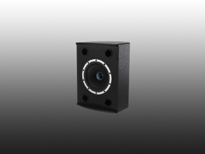 TANNOY V6