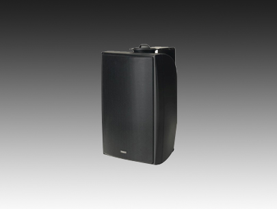 TANNOY DVS8 / DVS 8t