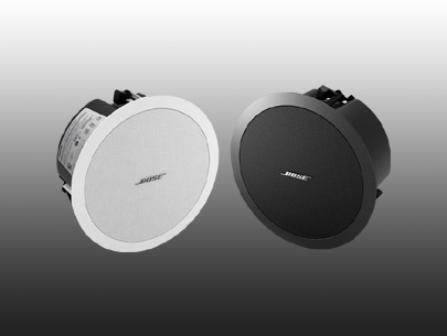 BOSE ʿ FreeSpace DS40F