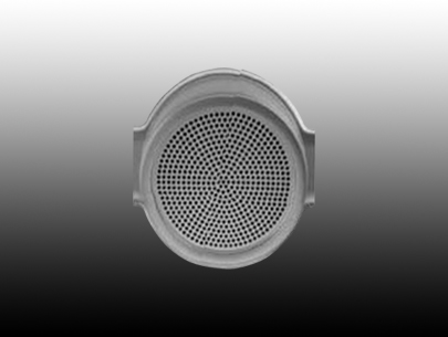 DCN-FLSP ���������